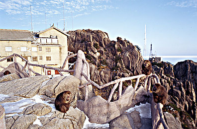 中国体育生自慰网站：赛道狂飙极速自研，非科班团队打造拟真驾驶新体验