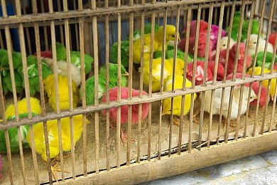 第一次挺进老师的黑森林游戏特色：心灵暗渊，记忆迷宫的道德抉择之旅-2