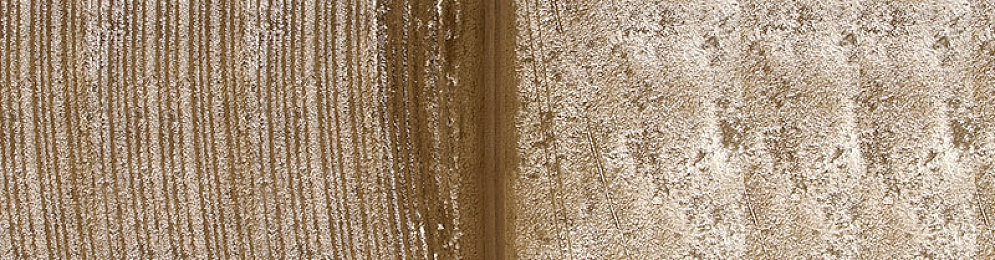 男生和女生在一起差差差的软件：双控飞驰，差异共鸣的协作竞速之旅