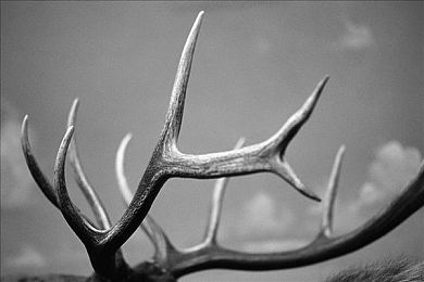 打扑克又疼又叫剧烈运动：卡牌策略与极速狂飙的沉浸交响-3