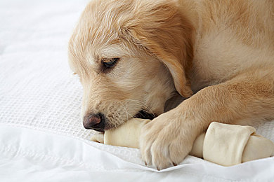 色V：霓虹光谱，疾驰于色彩解构之路-2