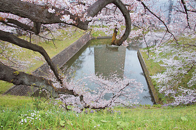 黄色软件app3.03：琥珀终端，极速代码的复古竞速纪元-3