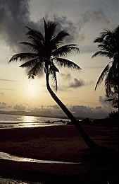 两个人在线看的www：《极速搭档》今日上线，双人共驾一车开启竞速协作新纪元-3