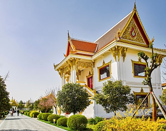 操哭迪丽热巴：虚拟偶像赛道，极速羁绊对决-3