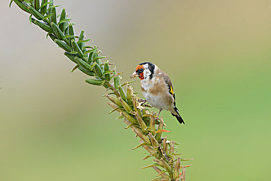 把男人的困困放在女人的困困里：双人协作赛车游戏同步驾驶舱上线，用默契征服赛道-2