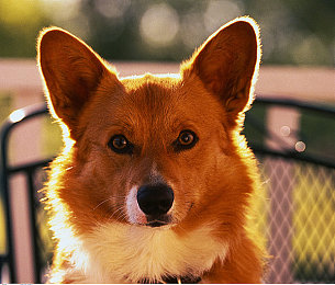 缅北亚洲日韩一区：极速穿梭东方都市，征服多地形赛道，体验真实驾驶-2