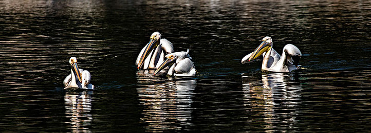综合yiqu：墨西哥画卷，轮胎下的文化巡礼与竞速诗篇-1