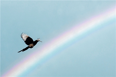国产Tv：复古驾驶新作上线，开放世界改装系统与动态天气引爆沉浸体验-4