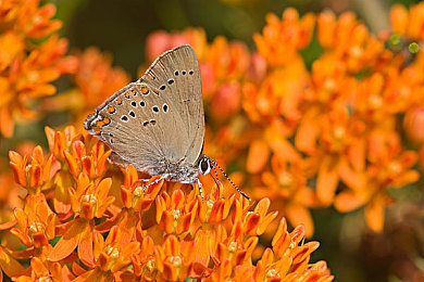 富二代分拣中心官网下载：模拟经营新作上线，体验财富继承的幽默分类之旅-2