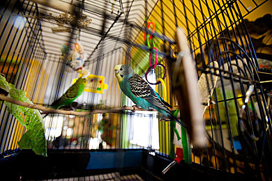 性一一交一一爱：极速交融，都市狂飙中的驾驶艺术与调校哲学-3