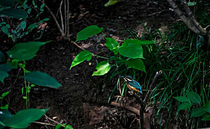 黑人双人RAPPER赛事详情：节奏涡轮，嘻哈双人竞速对决全解析-5