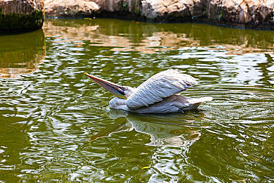 黄色软件下载3.3OPPO：极速狂飙新版本，深度优化带来流畅竞速体验-4