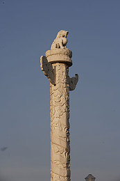 十大禁色软件：极速边缘，虚拟赛道上的视觉伦理与感官革命-3