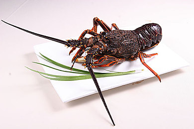 火辣福利网：极速狂飙，挑战隐藏关卡赢取限定豪车配件-3