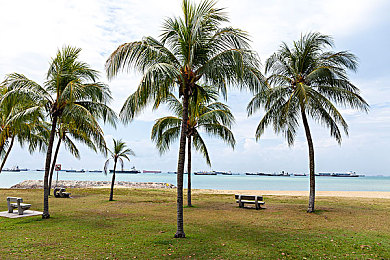 芭乐站长统计网站统计书：墨西哥极速传说，数据调校师手记-3