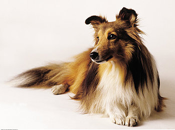 男生和女生一起拆拆:双人协作解谜,真实机械修复体验之旅-5