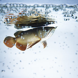 男生和女生一起查查查带疼痛的东西正常：调校之舞，数据与直觉共赴墨西哥狂飙-4