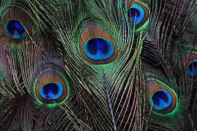 狼人干网：暗夜飞驰，谎言与引擎的竞速博弈-3