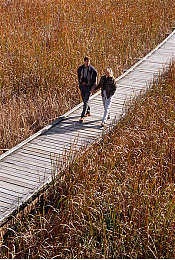 床上剧烈运动拔萝卜：竞速种田新游爆火，魔性玩法颠覆农场模拟体验