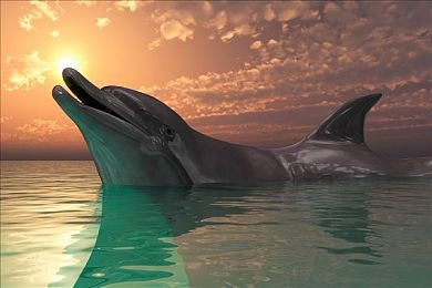 303免费oppo版破解：移动竞速新作极速303登陆OPPO平台，独家优化带来掌上飙车革命-4