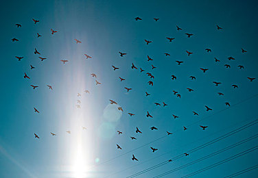 亚洲爱情岛论坛自拍品质:虚拟社交新作上线,视觉美学与情感经营巧妙融合-4