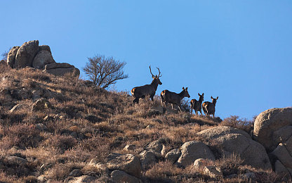 床上拔萝卜。：独立新游Bed Racer爆火，躺着竞速的魔性体验颠覆驾驶想象-3