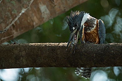 国精产品一:国产赛车新作极速华夏今日上线,沉浸式体验东方汽车工业崛起之路-4