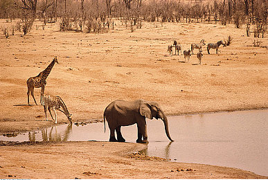 男生女生做亲密动作的软件：虚拟座驾的浪漫，双人驾驶模拟器中的亲密互动艺术-2