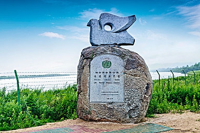 明星造梦厂：极速星途，引擎与星光交织的传奇之旅-2