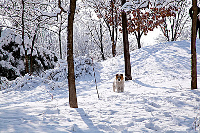 三上悠亚AV片：虚拟偶像竞速星轨幻想，沉浸式竞速与养成新体验-3