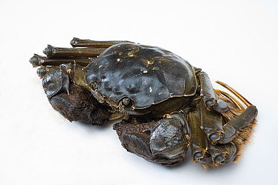 袜奴脚奴：赤足驾驭，用双脚感受256级细腻压感的竞速新纪元-2