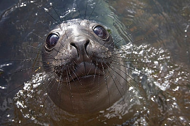 体育生自慰控精打飞：极速轨迹，精准驾驭，弯道艺术的极限掌控实验室-5