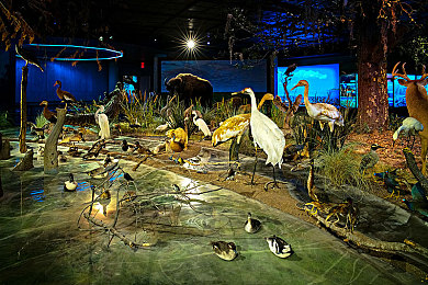 黑人男优：疾影诗篇，街头竞速的艺术革命与尊严之路-3