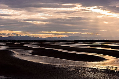 黄色应用我要下载:极限竞速地平线5,黄金落日与沙尘赛道征服攻略-5
