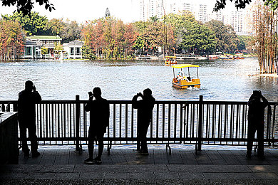 不用播放器免费AV:极速解码开启驾驶新境界,数据破解定制专属赛车之旅-3