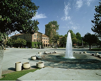 男和女交配软件：双人协同驾驶，精密啮合竞速体验-4