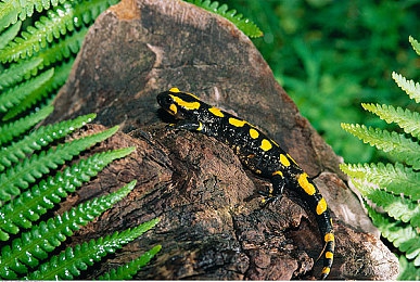 男生差差女生:当差异成为默契,双人赛车共舞赛道新纪元-5