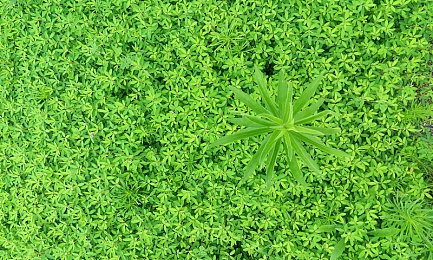 男生日女生的软件:《极速幻影》推出性别转换系统,竞速游戏迎来身份叙事新变革-3