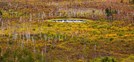 男人和女人在一起差差的软件：竞速游戏新趋势，差异化体验共创驾驶乐趣-4