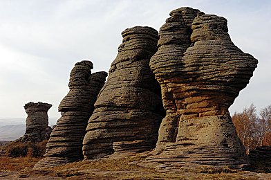 主播视频最新地域网名怎么改的:个性化赛车名片打造指南,地平线5社交玩法深度解析-2