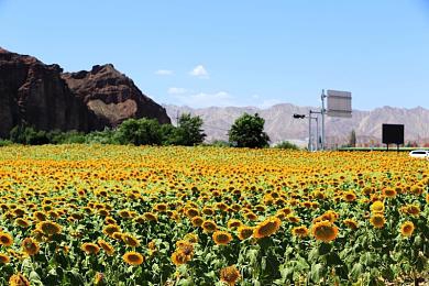 人人干人人色:赛道调色盘,竞速与色彩的征服之战-4