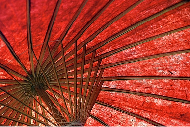 东京热导航：极速穿梭霓虹都市，街头竞速与智能导航的终极对决-4