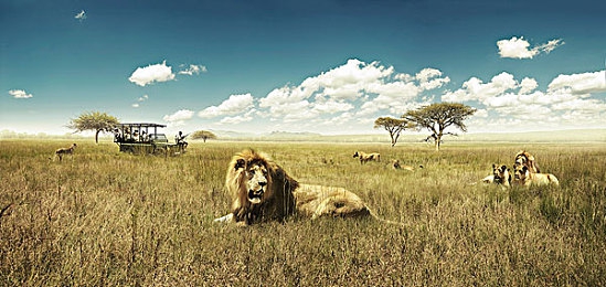 阿娇陈冠希实干13分：极速专注，分秒必争的赛道实干之旅-2