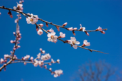 one一个成年的世界一个就够了老杀：末日驾驶生存新作上线，三大法则助你平衡废土自由与残酷现实-3