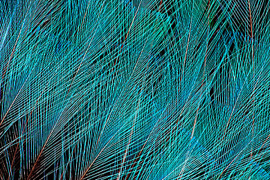 机机和机机手机免费正版:硬核改装,自由驰骋,手机免费畅享极致赛车乐趣-5