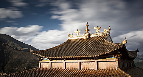 十八款夜间禁用APP:夜游暗影城需谨慎,这款驾驶模拟游戏让玩家深夜开车前再三思量-4