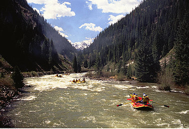 华为黄色视频3.0.3：智驭光流，幻影赛道上的未来竞速诗篇-4