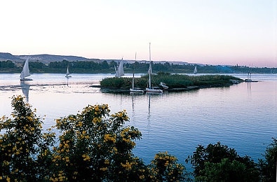 韩一区二区：双城赛道引爆竞速热潮，全新攻略助你征服极限弯道-4