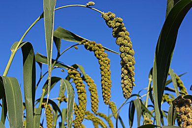 aqdyen社保片:极速车间,从零到冠的拟真驾驶传奇-5