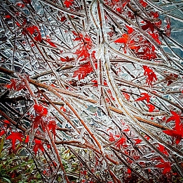 明星ai造梦工厂：幻速工坊，从零塑造你的专属极速梦想-3